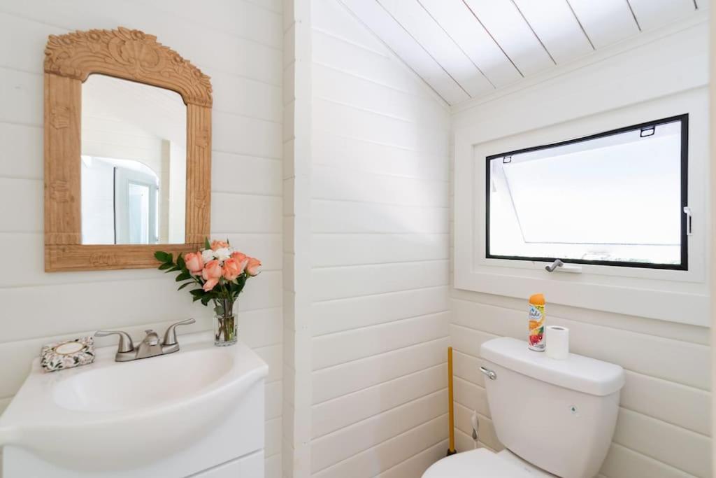 North Shore Garden Studio Haleiwa Ngoại thất bức ảnh