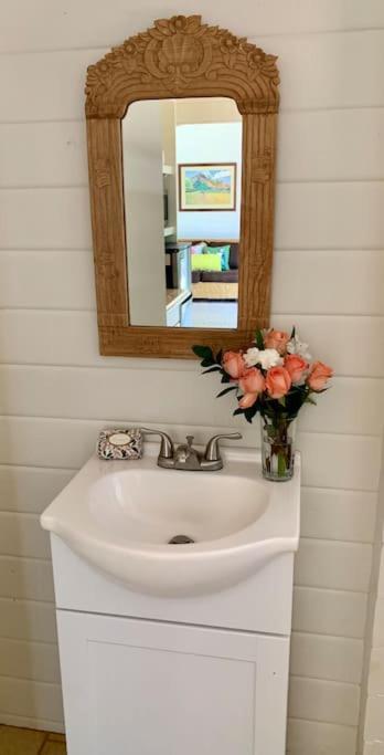 North Shore Garden Studio Haleiwa Ngoại thất bức ảnh