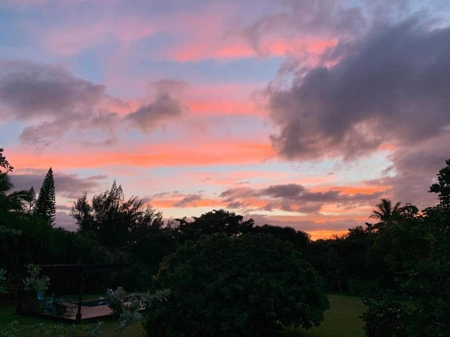 North Shore Garden Studio Haleiwa Ngoại thất bức ảnh
